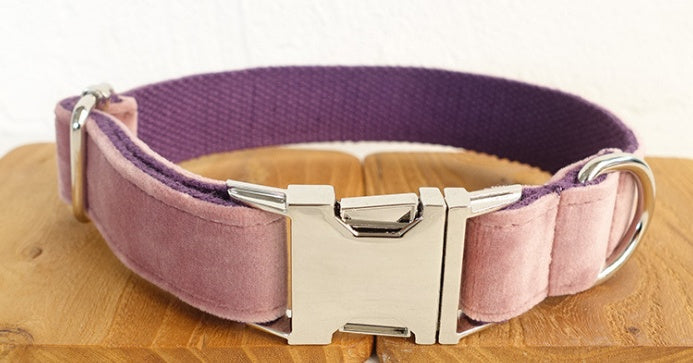 The Ultimate Dog Leash and Collar: Unleash Adventure and Safety