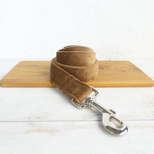 Discover the Perfect Companion for Your Dog: The Pet Dog Ring Leash