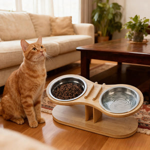 Discover the Adjustable Tilted Pet Stand With A Feeding Bowl