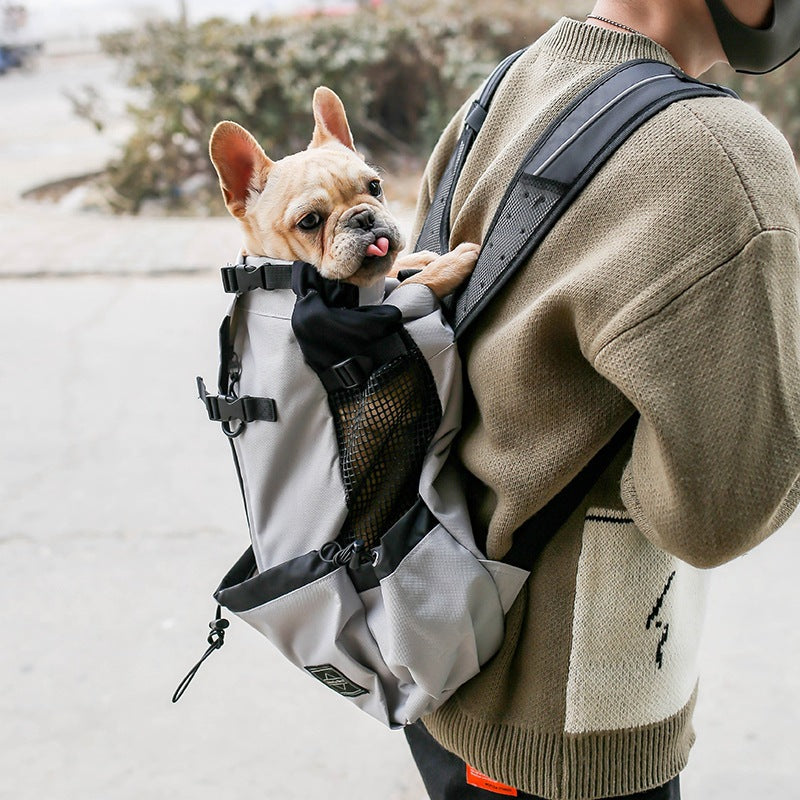 The Ultimate Pet Dog Travel Carrier: Adventure Awaits!