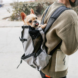 The Ultimate Pet Dog Travel Carrier: Adventure Awaits!