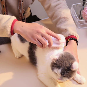 The Ultimate Silicone Bath Brush For Your Pets