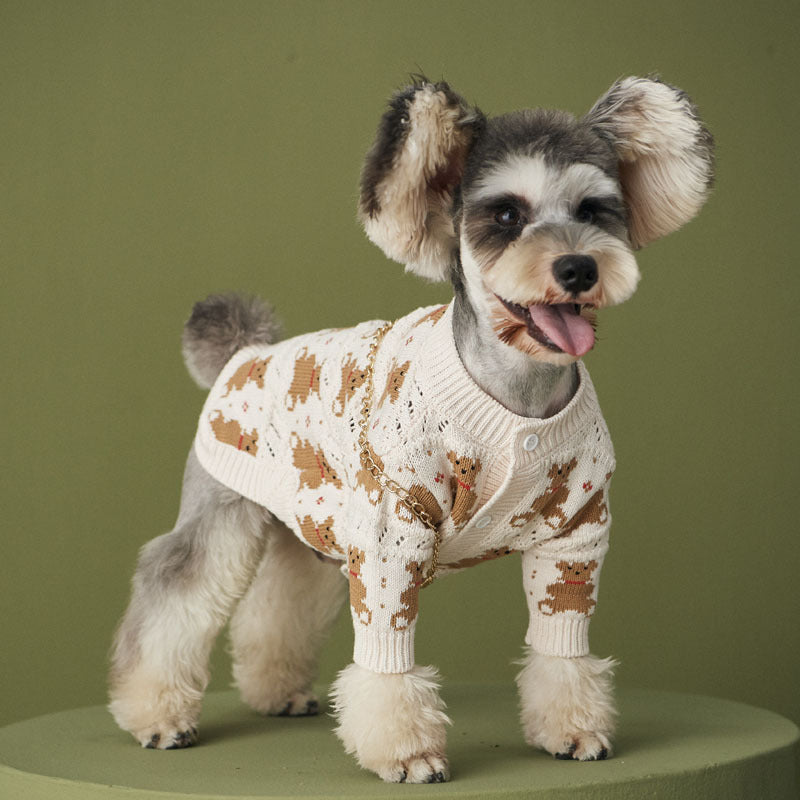 The Ultimate Fashion Statement for Your Pomeranian: Dischnarui Pomeranian VIP Cute Pet Jacket