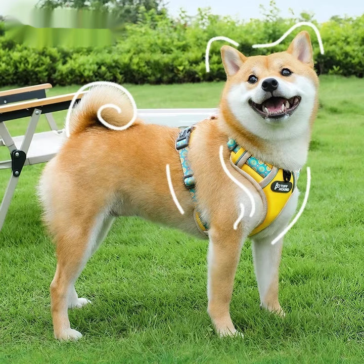 Pet Harness Vest-style Large Walking Leash