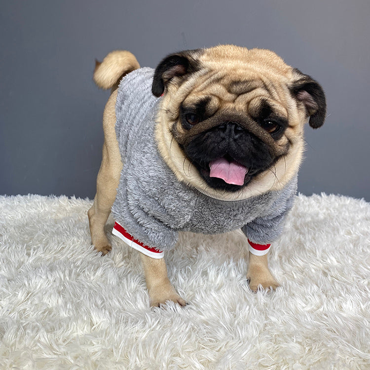 Soft Pet sweater