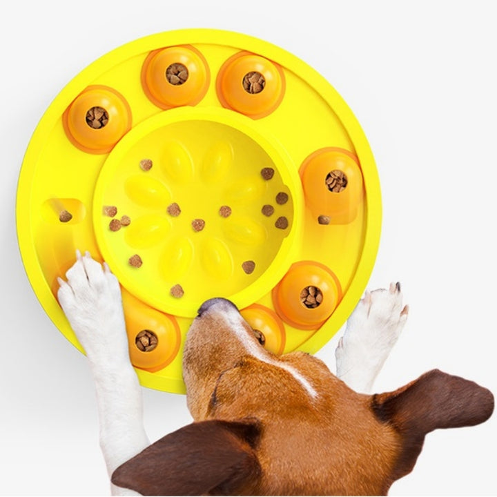 Automatically Feeding Plastic Puzzle Dog Slow Food Bowl