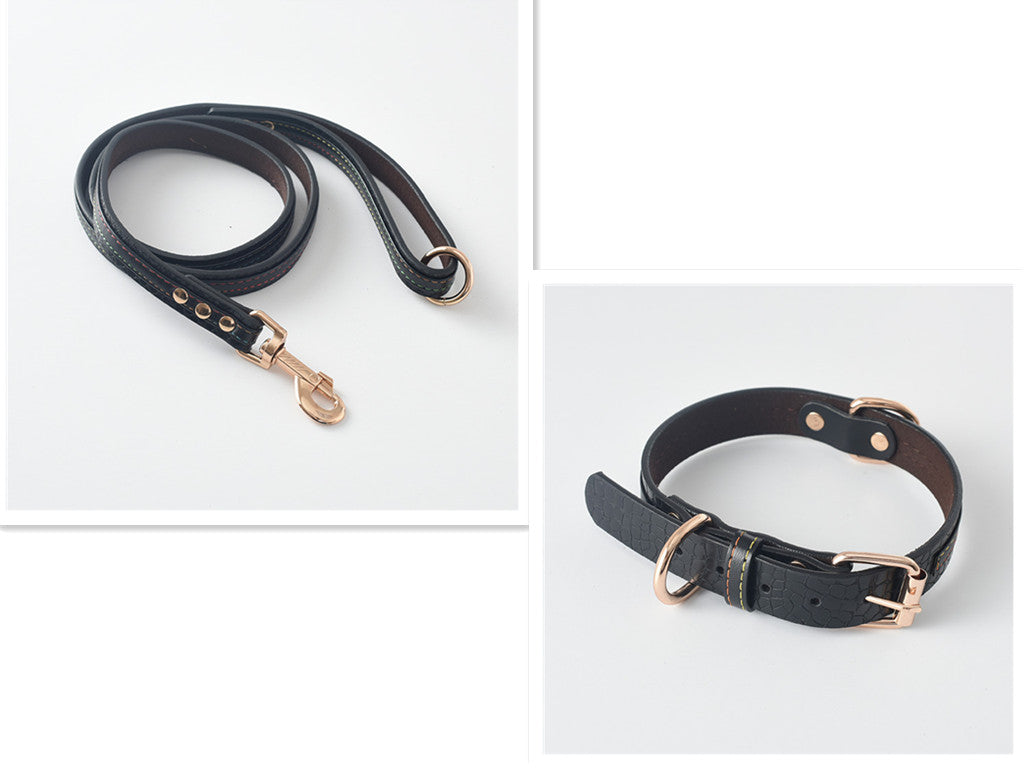 Pet Dog Leash
