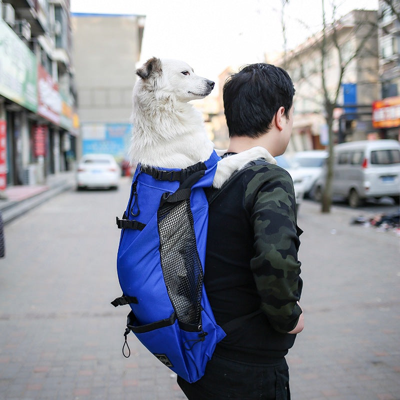 Pet Dog Travel Carrier