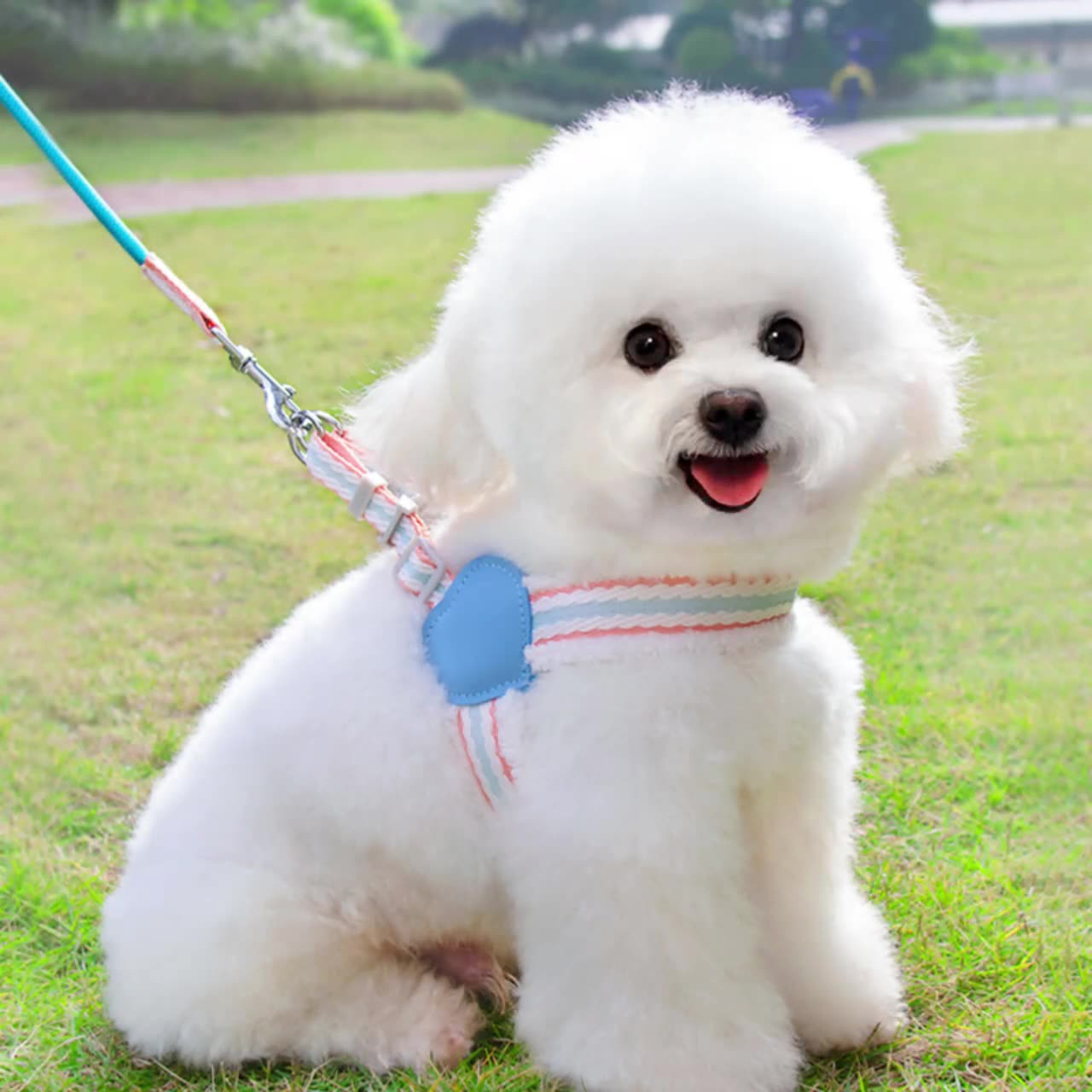 Summer Breathable Medium-sized Pet Leash