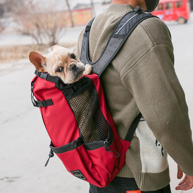 Pet Dog Travel Carrier