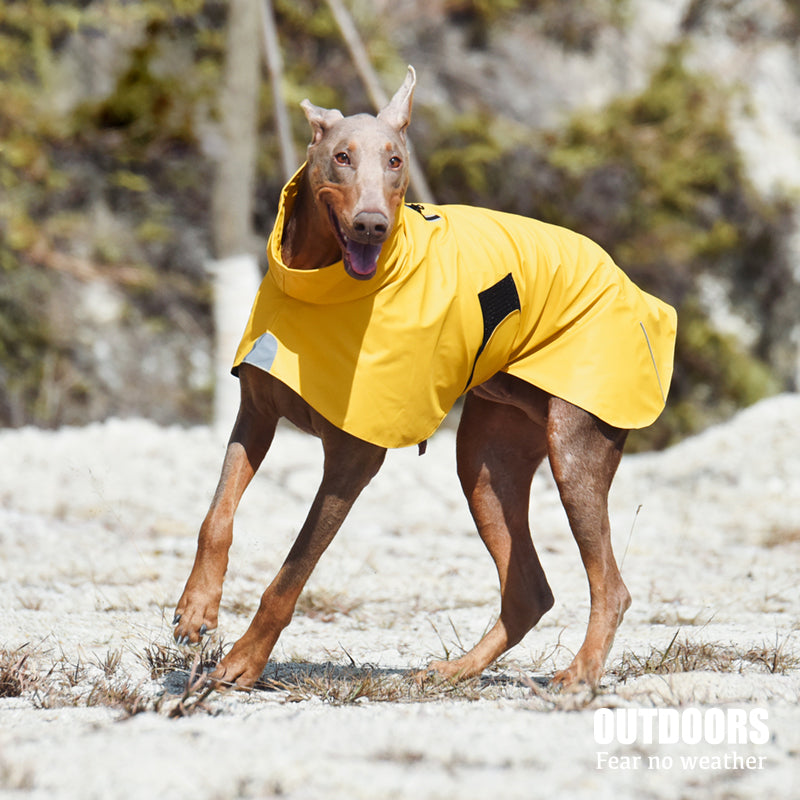 Pet Shell Jacket Waterproof Raincoat